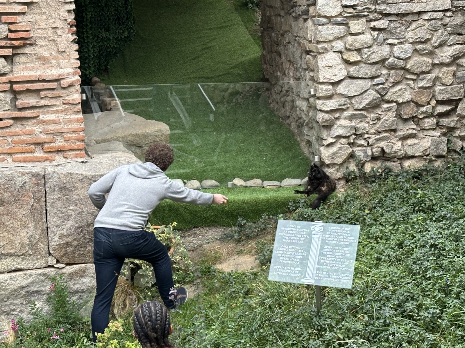 View from above and behind of me reaching towards a black cat cleaning itself.